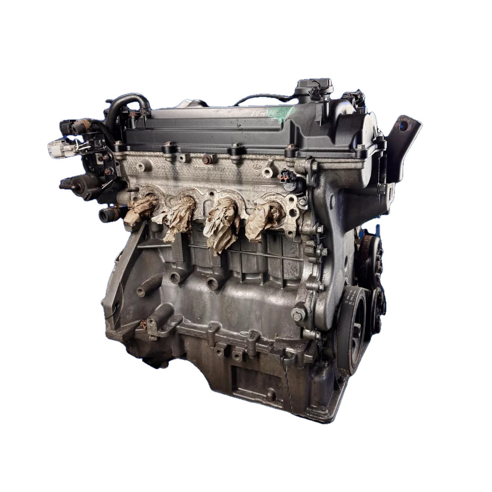 Hyundai i20/Kia Rio 1.2 Dual VVTi Engine